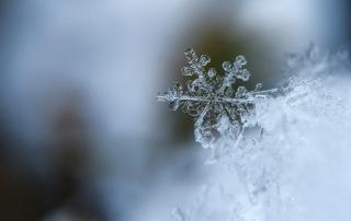 Slick Audio - snow and music